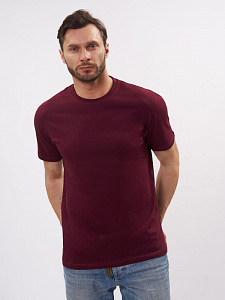 Мужская бордовая футболка GARANT